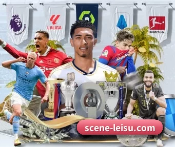 scene-leisu.com APP